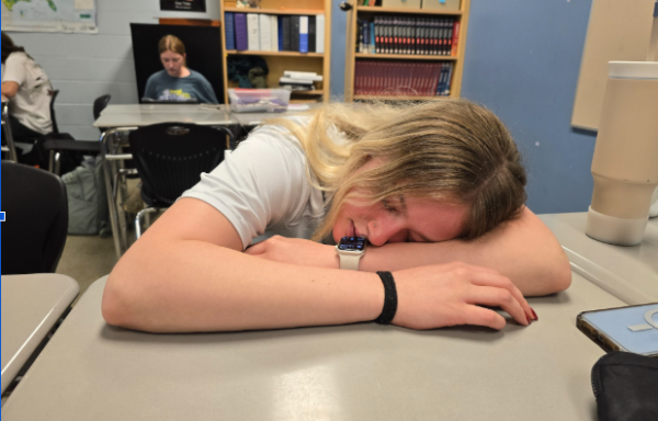 Linganore High School junior Zoe Lange takes a nap during Kenneth Halter's Statistics and Probability class.