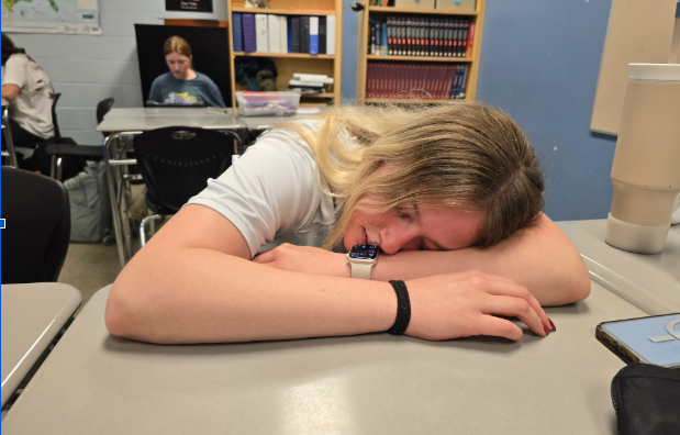 Linganore High School junior Zoe Lange takes a nap during Kenneth Halter's Statistics and Probability class.