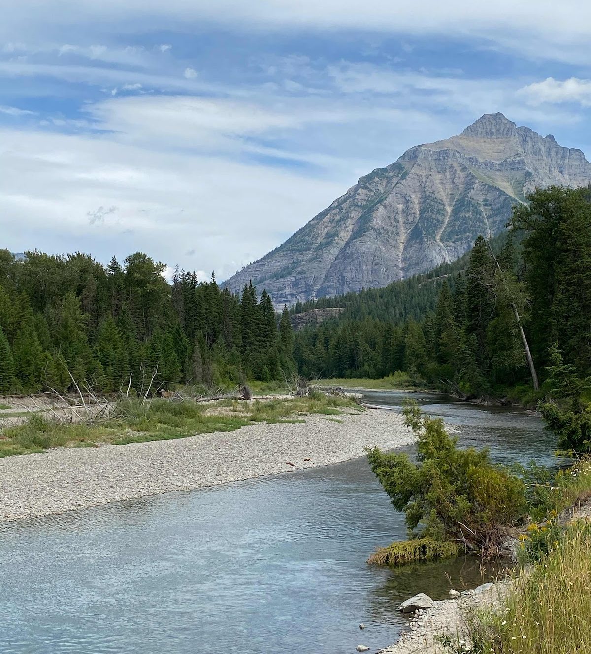 Wildlife is incredibly diverse at Glacier. The park is home to over 70 species of mammals, 276 bird species and thousands of different species of insects. Various species of fish are native to the park, and there also are many non-native fish that have been introduced into the waters.